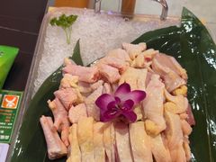 -淼福猪肚鸡·椰子鸡火锅(大沙地店)