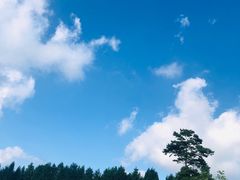 -武陵山森林公园
