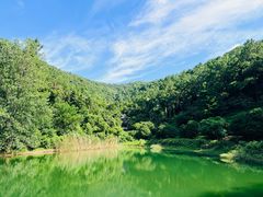 -九龙潭景区