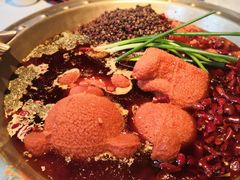 -红辣椒·川菜·火锅(科华路店)