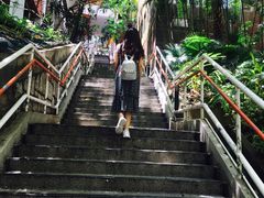 -香港大学