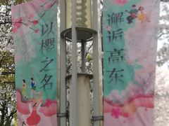 -高东镇樱花园