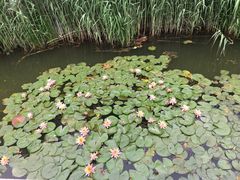 -江南大学(蠡湖校区)