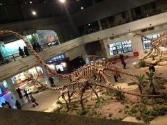 -自贡恐龙博物馆