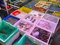 -东江海鲜大排档·潮汕菜·砂锅粥