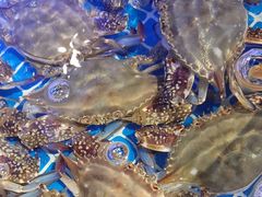 -77号渔船·蒸海鲜青岛菜(积米崖店)