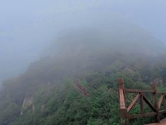 -大岭沟猕猴桃谷风景区