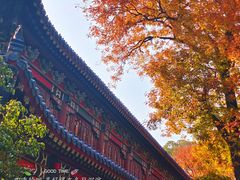 -灵谷景区