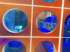 -鱼酷活鱼烤鱼(恒隆广场店)