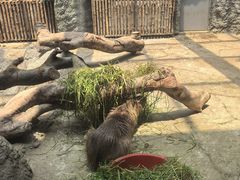 -武汉动物园