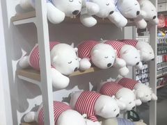 -芽庄中心购物广场