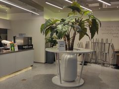 -CoCo都可(崇川万象城店)