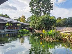 -河川生态园