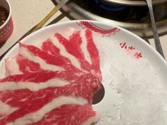 -小龙坎火锅(全球旗舰店)