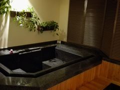 android_upload_pic-春晖园度假酒店温泉