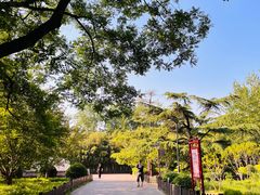 -莲花池公园