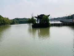 -八大山人梅湖景区