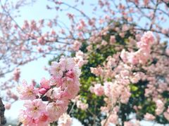 -苏州上方山国家森林公园