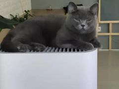 -平行世界·猫咖(首经贸店)