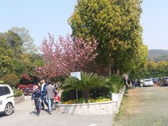 -无锡市乌鹤山公墓办事处