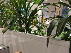 -马仕玖煲(万宴城店)