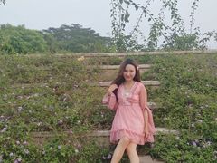 -东莞植物园
