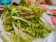 清火苦菊-丰茂烤串(钦州北路店)