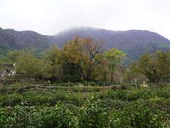 -塔川景区