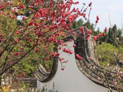 -乌山风景区