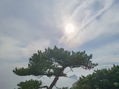 -广鹿岛景区