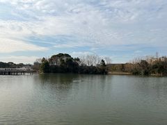 -新江湾城公园