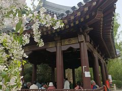 -元大都城垣遗址公园