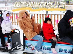 -绿野森林乐园冰雪季