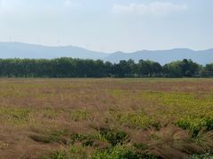 -长兴太湖图影湿地文化园
