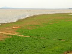 -鄱阳湖国家湿地公园