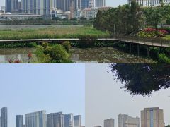 -龙环葡韵住宅式博物馆