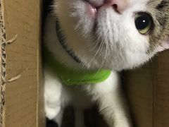 -美联众合爱康动物医院•复杂内科•肿瘤科•牙科•腔镜诊疗中心