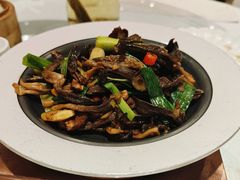 -凯鸽酒楼(操场城店)