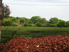 -凤凰沟景区