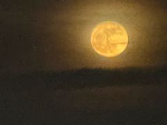 -厦门园林博览苑