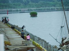 -贡湖湾湿地公园