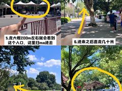 -橘子洲景区