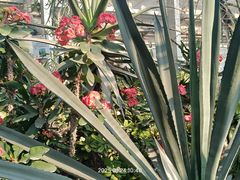 -国家植物园南园