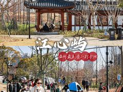 -江心屿景区