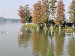 -海珠湖公园