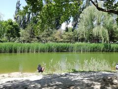 -大兴滨河森林公园