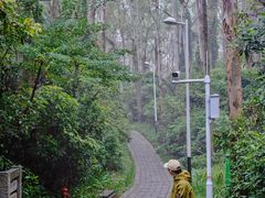 -水濂山森林公园