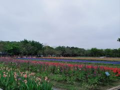 -丹樱生态园