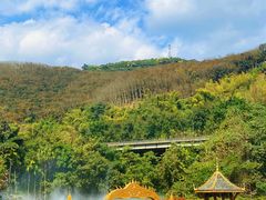 -西双版纳原始森林公园