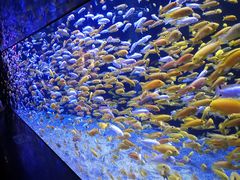 -成都浩海立方海洋公园